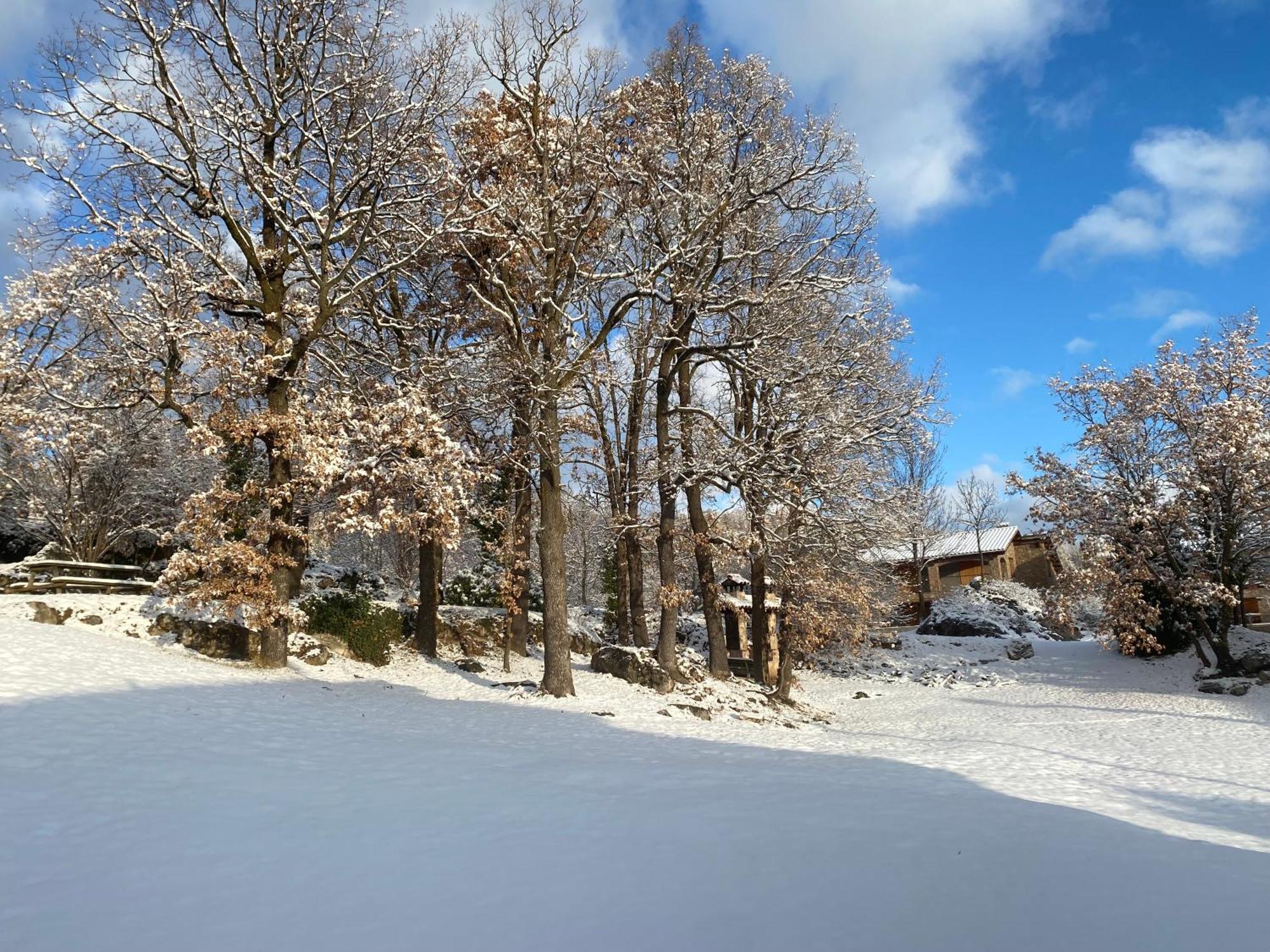 Cal Carol Apartment Vallcebre Exterior photo